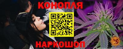 прущие грибы Славгород